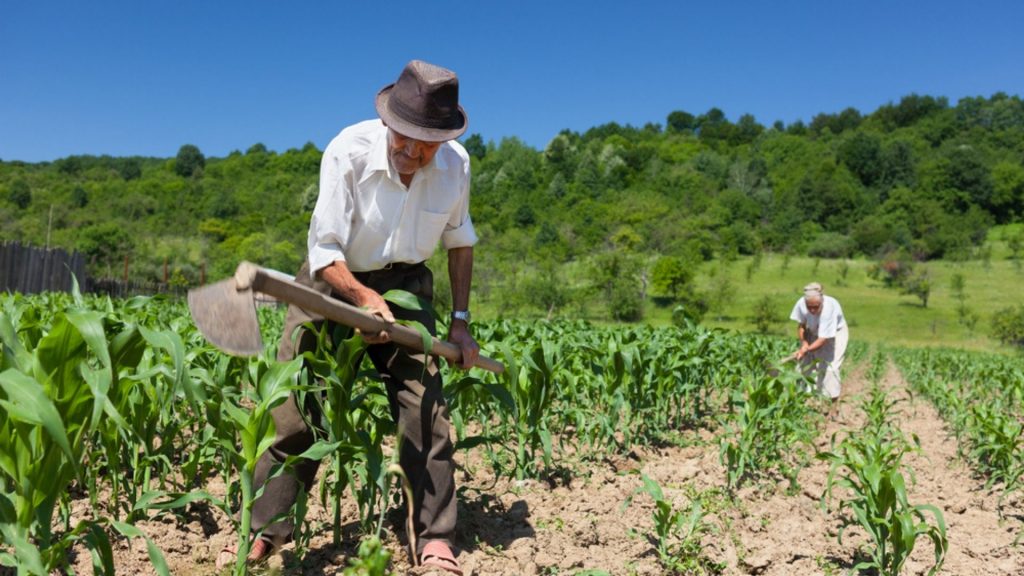 Aposentadoria trabalhador rural